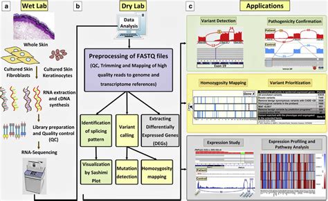 Rna Seq Technique Workflow The Bioinformatics Analysis Steps And Download Scientific Diagram