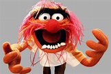 The Muppets: Why It's Our New TV Obsession - Today's News: Our Take ...