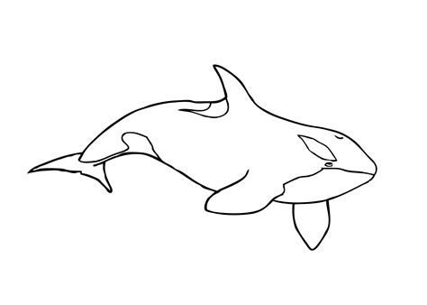 Whale Coloring Pages Printable Free Coloring Pages