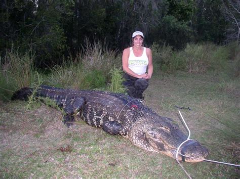 Florida Alligator Hunting Hunting In Florida