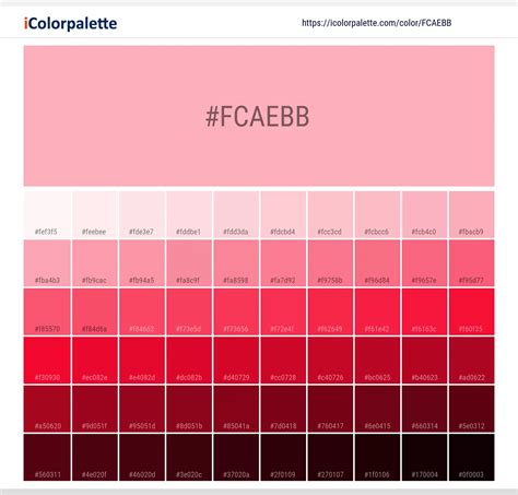 Pantone Red 0331 C Color Hex Color Code Fcaebb Information Hsl