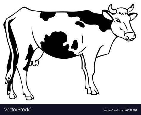 a drawing of a cow
