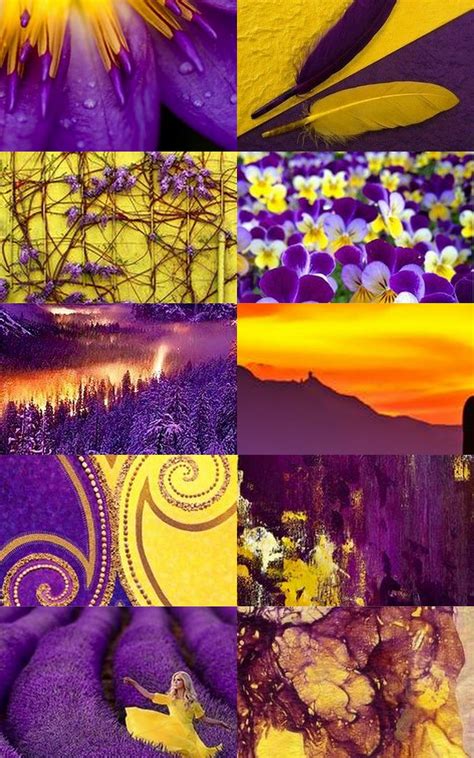 Complementary color: yellow and purple aesthetic...