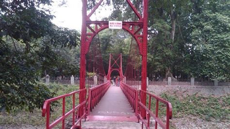 Asal Usul Jembatan Cinta Dan Pohon Jodoh Di Kebun Raya Bogor