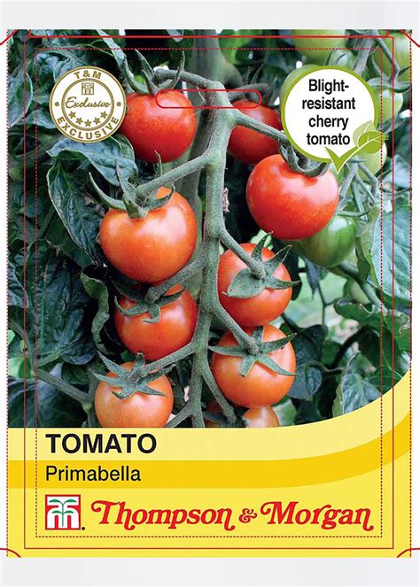 Tomato Primabella Seeds Dobbies Garden Centres