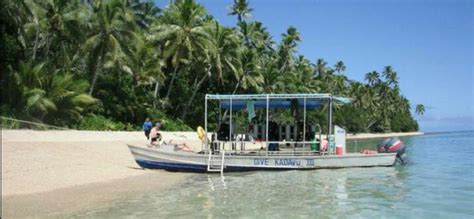 2 Best Dive Resorts In Kadavu Island Fiji Updated 2024 Trip101