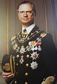 H.M. King Carl XVI Gustav of Sweden – Official Portrait | Kungligheter ...