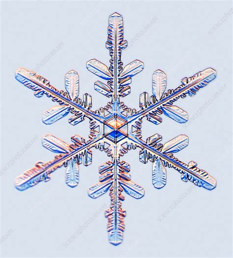 Snowflake Stock Image E1270393 Science Photo Library