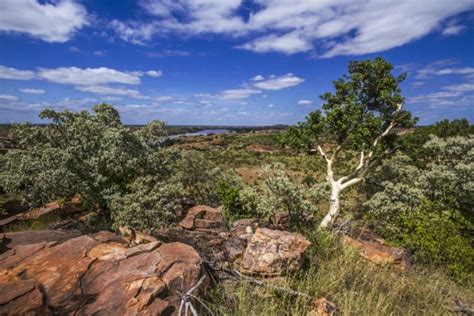 Mapungubwe Uncover Ancient History At A Lost City The Citizen