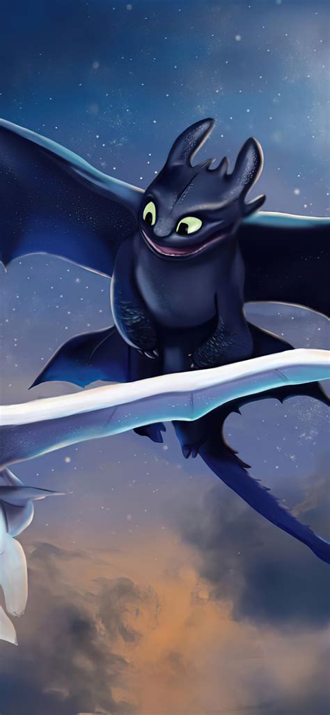 1242x2688 Toothless And Light Fury Art 5k Iphone Xs Max Hd 4k