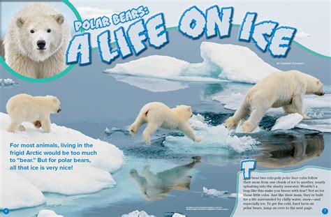 Polar Bears A Life On Ice Nwf Ranger Rick