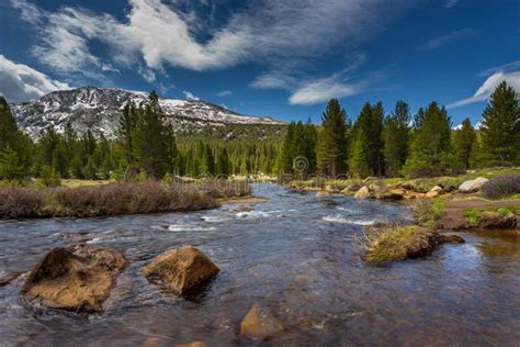Dana Fork Tuolumne River Mountain River In The Sierra Nevada
