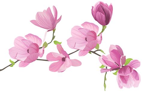 Spring Flowers Png 10 Free Cliparts Download Images On Clipground 2022