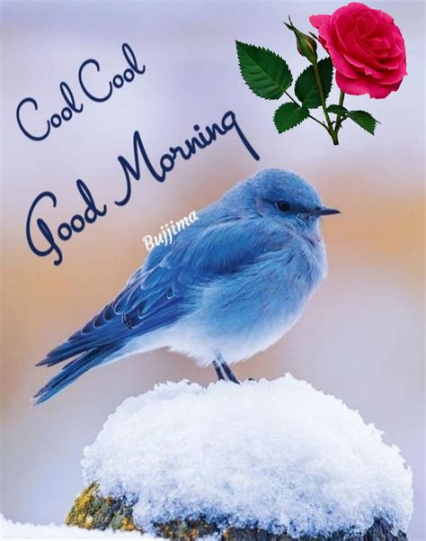 Cool Cool Good Morning Winter Nature Greetings Good Morning Flowers
