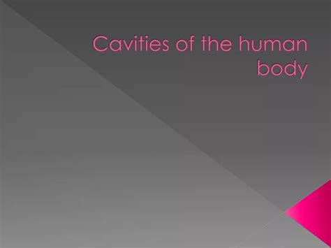Ppt Cavities Of The Human Body Powerpoint Presentation Free Download Id 9547693