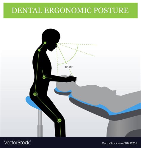 Ergonomics In Dentistry Correct Posture Royalty Free Vector