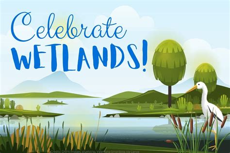 What Are Wetlands And How Can We Protect Them Mongabay Kids
