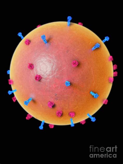 Nipah Virus Particle Photograph By Ramon Andrade Dciencia Science