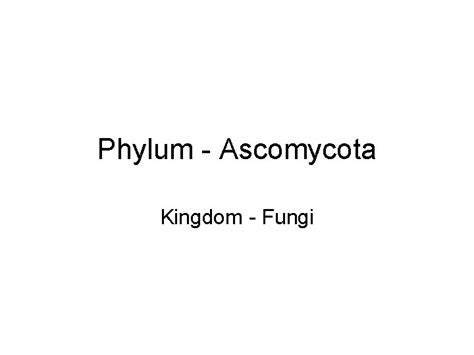 Phylum Ascomycota Kingdom Fungi Higher Fungi Two Phyla