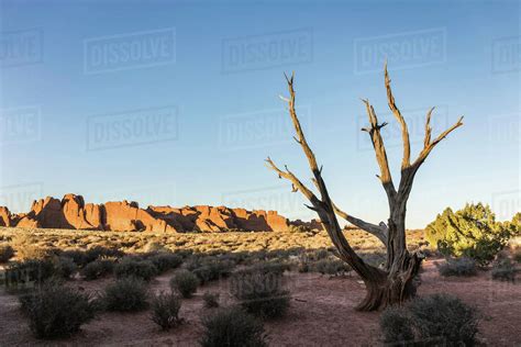 Rock Formation Arches National Park Moab Utah Usa Stock Photo