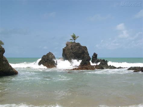 Tambaba Comemora Anos De Naturismo Na Para Ba Pitimbu Pb