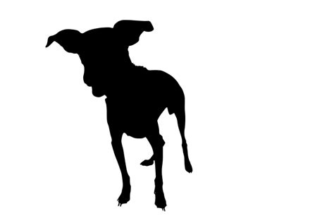 Svg Pet Black Dog Dog Free Svg Image And Icon Svg Silh