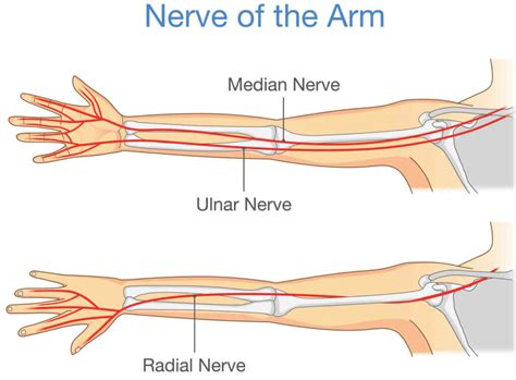 Numbness In The Hand You Could Be Experiencing Nerve Entrapment