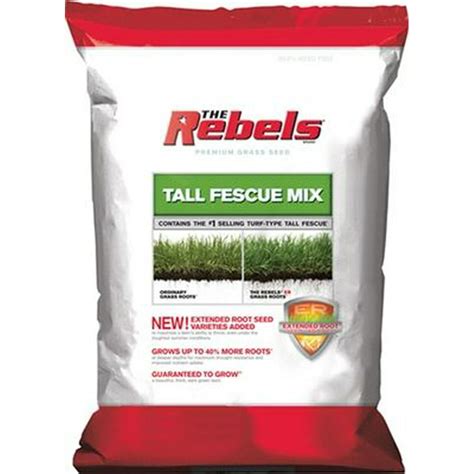 Rebels Tall Fescue Grass Seed 3 Lbs