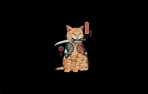 Neko Samurai Wallpapers Top Free Neko Samurai Backgrounds