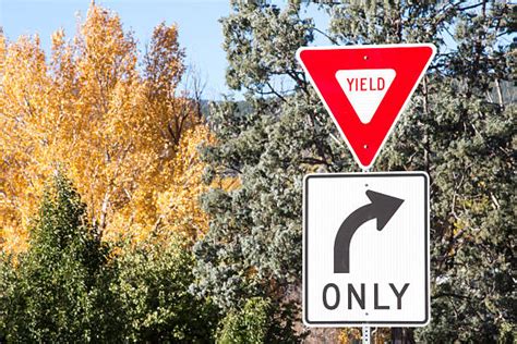 Best Yield Sign Stock Photos Pictures And Royalty Free Images Istock