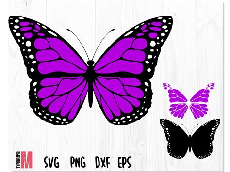 Pin by Vasiliy on SVG / PNG files in 2021 | Butterflies vector