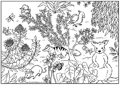 Images And Places Pictures And Info Australian Animals Colouring