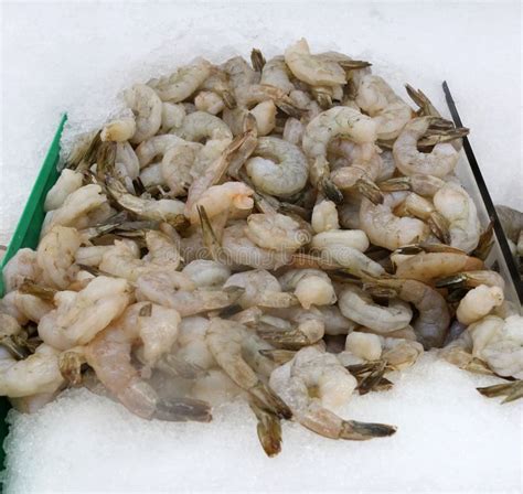 Cooked Farmed Shrimp On Ice At Fish Market Stock Image Image Of