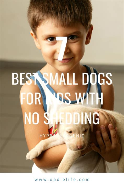 7 Best Small Dogs For Kids No Shedding With Photos Artofit
