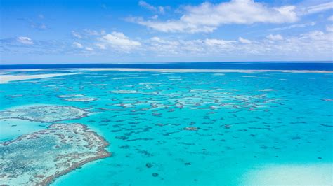 Great Barrier Reef Study Shows How Reef Copes With Rapid Sea Level Rise