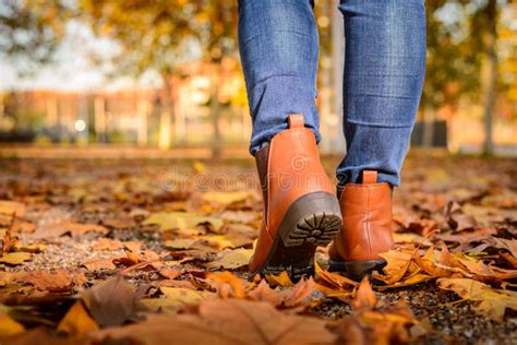 Girl Walking On Autumn Leaves Stock Image Image Of Exercise Color