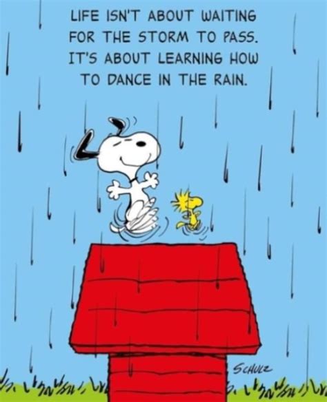 Snoopy Dancing In The Rain Permaculture Blog