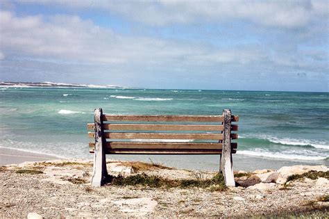 Bench At The Beach Beach Fun Beach Photography Beach House Decor