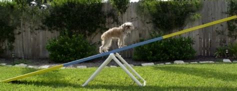 Adjustable Teeter Seesaw Base Dog Agility Equipment