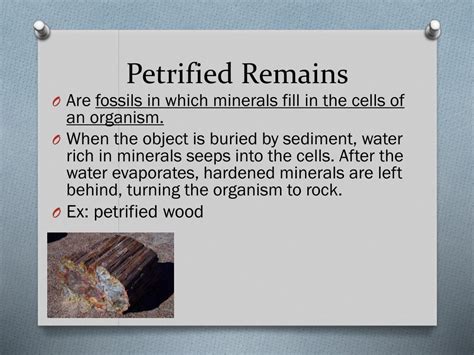 Ppt Chapter 4 Views Of Earths Past Powerpoint Presentation Free