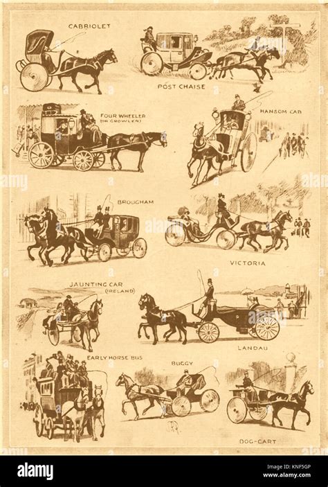 Types Of Carriages Ar