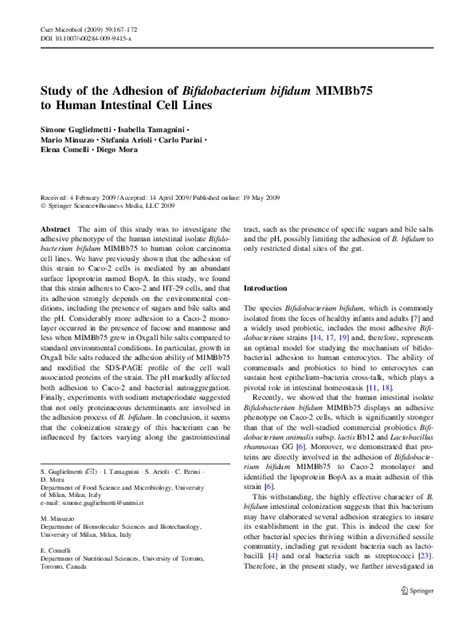 Pdf Study Of The Adhesion Of Bifidobacterium Bifidum Mimbb75 To Human