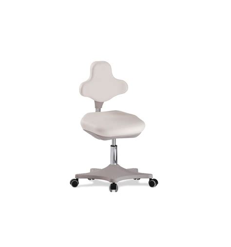 Laboratory Chair Chairs For Labs Ergonomic Chairs For Laboratories