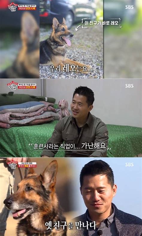 한국 vs 일본 비교 영상. 스포츠한국:'집사부일체' 강형욱, 경찰견 레오와 생이별했던 ...