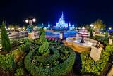 Walt Disney World New Park Photos
