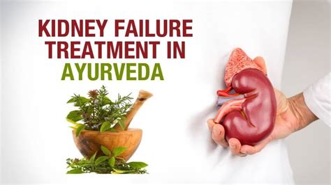 Ayurvedic Herbal Treatment Of Kidney Renal Failure Arf Crf In