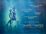 The Shape of Water Movie Poster - Guillermo Del Toro - Sci Fi - Romance