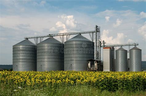 Field With Grain Silos For Agriculture Stock Image Image Of Metal