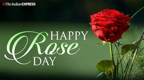 You can share this greetings wishes through social media such as facebook, whatsapp, messenger, instagram. Happy Rose Day 2021: Wishes Images, Quotes, Status, HD ...