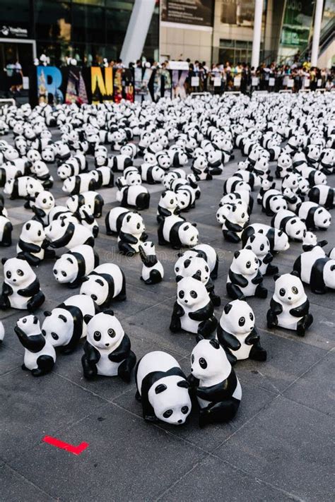 Many Panda Sculptures View From Above That Place On The Floor Is An Art
